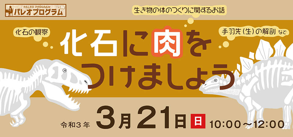 イベント 3 21 パレオプログラム 化石に肉をつけましょう 御船町恐竜博物館