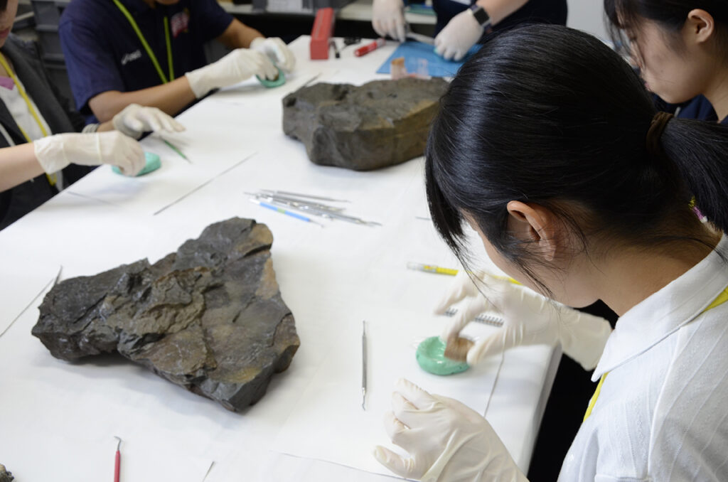 博物館実習で化石のレプリカを製作中