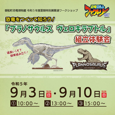 【バンダイ】ヴェロキラプトル プラノサウルス　組立体験会Ver.『17個セット』 12月17日(日)ホスト開幕戦「プラノサウルス体験会キット」3,000