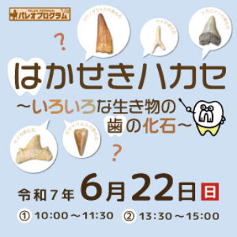 6/22 パレオプログラム『はかせきハカセ〜いろいろな生き物の歯の化石〜』