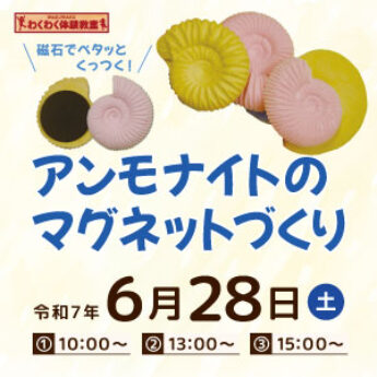 6/28 わくわく体験教室『アンモナイトのマグネットづくり』