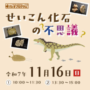 11/16 パレオプログラム『せいこん化石の不思議』