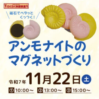11/22 わくわく体験教室『アンモナイトのマグネットづくり』