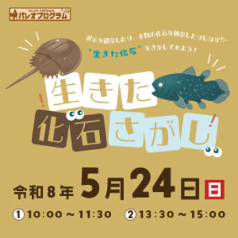 5/24 パレオプログラム『生きた化石さがし』