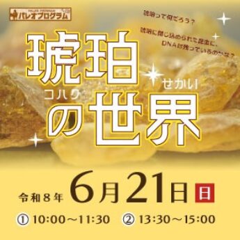 6/21 パレオプログラム『琥珀の世界』