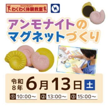 6/13 わくわく体験教室『アンモナイトのマグネットづくり』