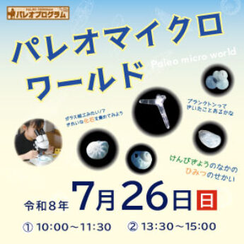 7/26 パレオプログラム『パレオマイクロワールド』
