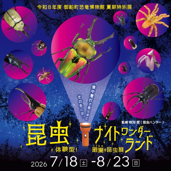 御船町恐竜博物館 | 貸出し化石：No.9_マンモスの体毛