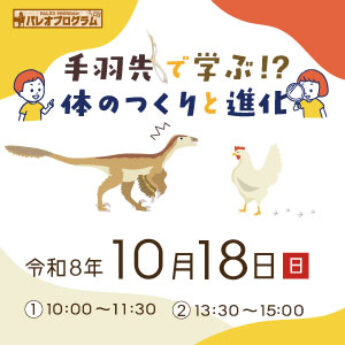 10/18 パレオプログラム『手羽先で学ぶ！？体のつくりと進化』