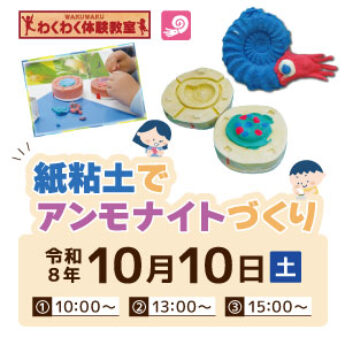 10/10 わくわく体験教室『紙粘土でアンモナイトづくり』