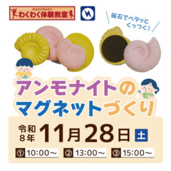 11/28 わくわく体験教室『アンモナイトのマグネットづくり』